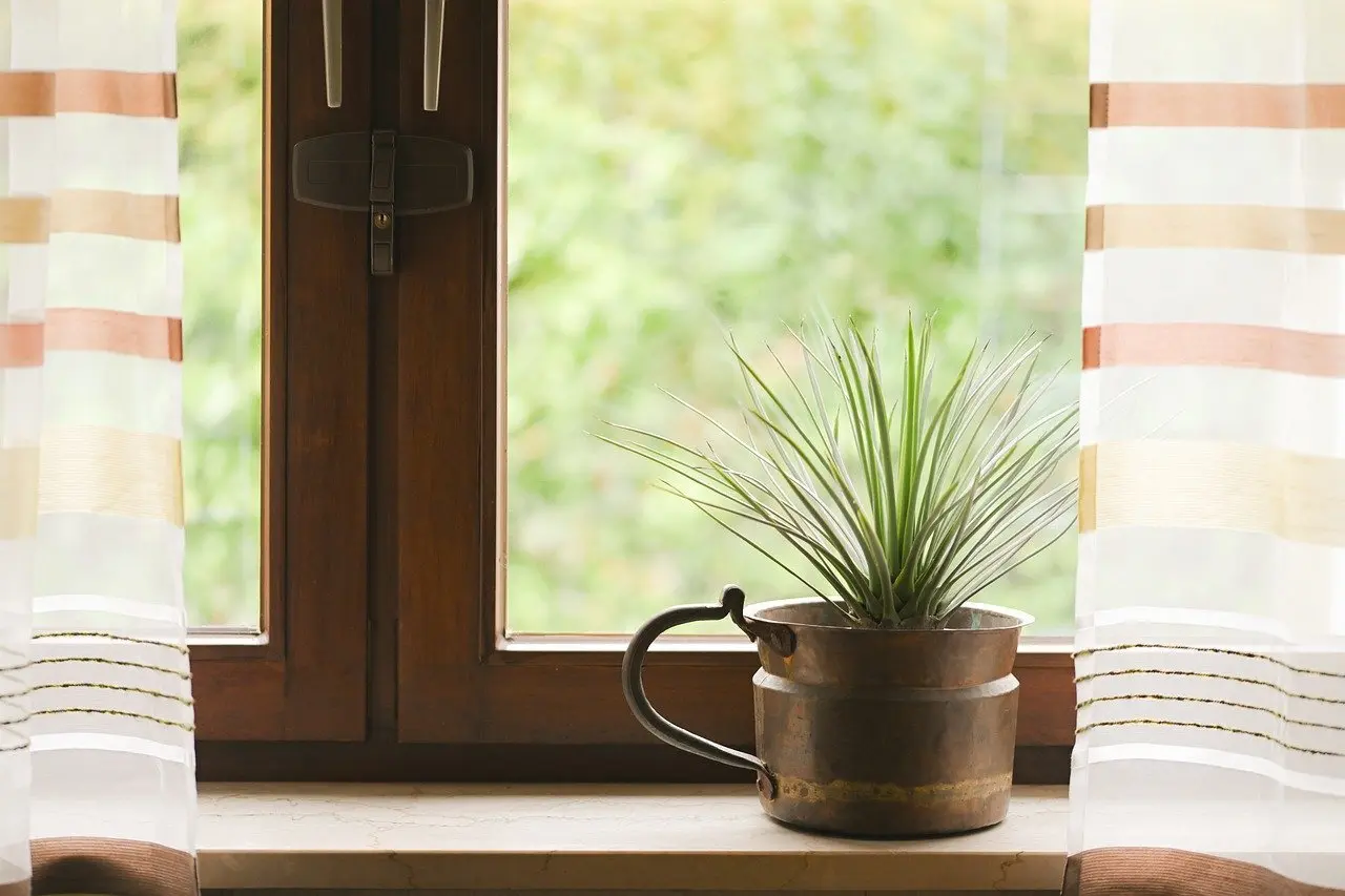 Biophilic design: Planter, naturmaterialer og lys, der skaber ro